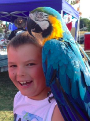 Screen Shot 2018-01-10 at 8.08.57 AM