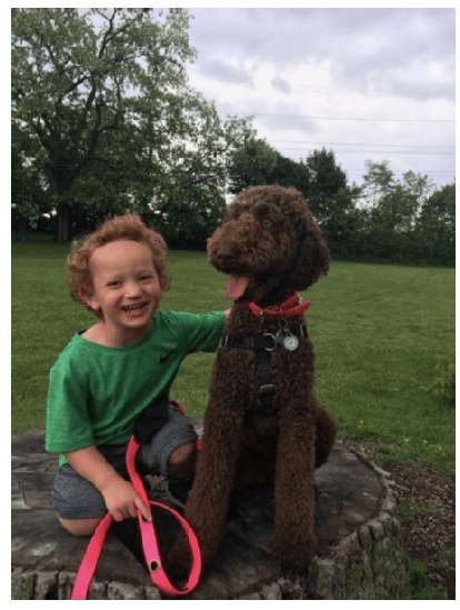 Screen Shot 2018-01-17 at 7.46.18 PM