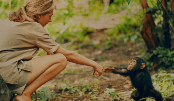 Screen Shot 2018-02-09 at 10.14.56 AM