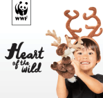 Screen Shot 2018-02-12 at 11.22.28&nbsp;AM