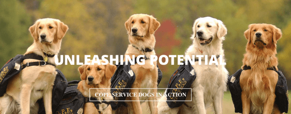 Screen Shot 2018-03-06 at 8.37.41 AM