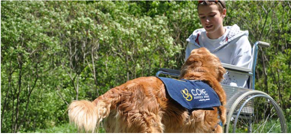 Screen Shot 2018-03-06 at 8.41.28 AM